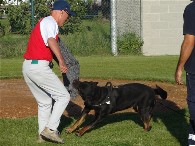 attacco di un “mastino” ai danni di Eugenio